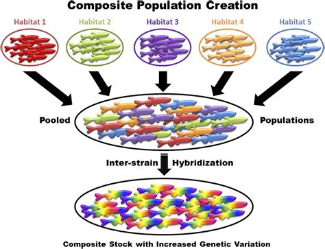 Extensive genetic diversity and substructuring among zebrafish strains revealed through copy ...