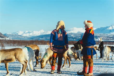 Explore Sami Culture in Tromsø | Heritage & Traditions