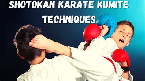 Shotokan Karate Kumite Techniques - The Karate Twins