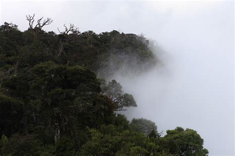 World's End | Attractions in Nuwara Eliya, Sri Lanka