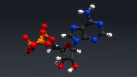 ATP Structure 3D Model $49 - .obj .ma .unknown - Free3D