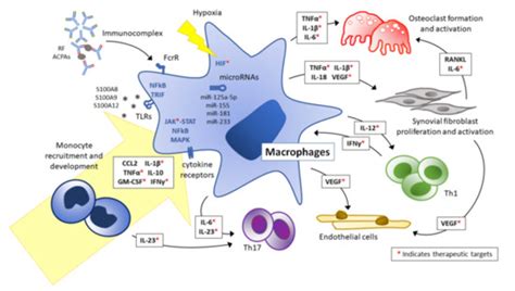 Understanding the mechanism of action of Imatinib