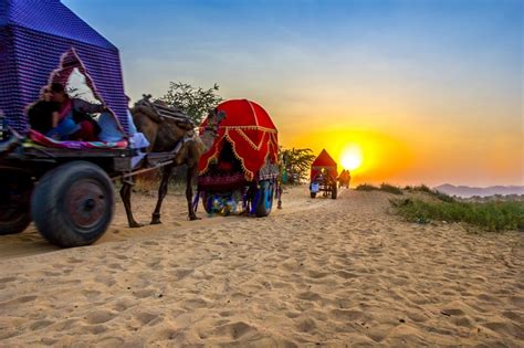 Rajasthan Desert Safari: Everything You Need to Know