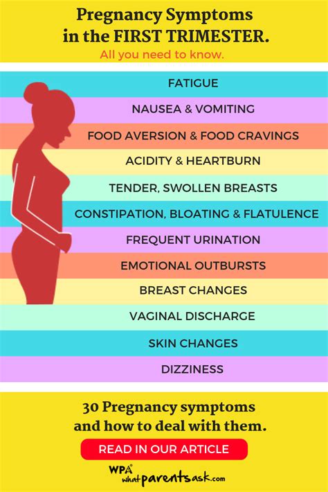 30 Pregnancy Symptoms and Signs : Know What To Expect - What Parents Ask