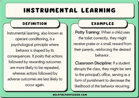 Instrumental Learning: Definition and Examples (2024)