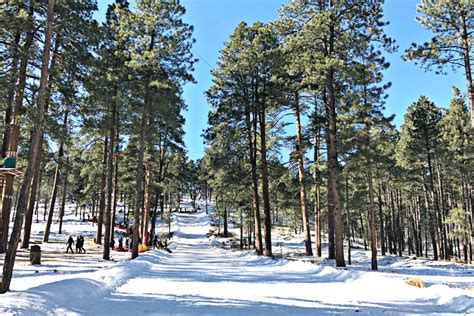 Flagstaff Snow Park Visit Tips - Brie Brie Blooms