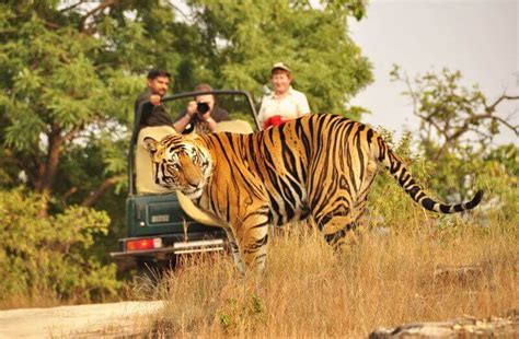 17 Amazing Places To Visit In Ranthambore For All Travelers In 2024