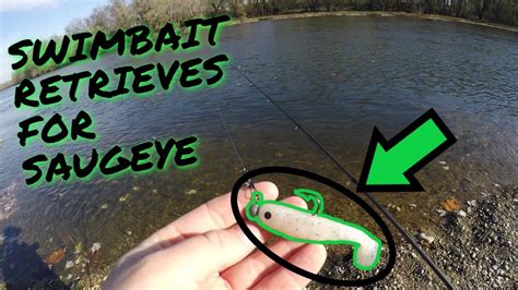 HOW TO: Saugeye Fishing and Retrieving Techniques using Swimbaits - YouTube