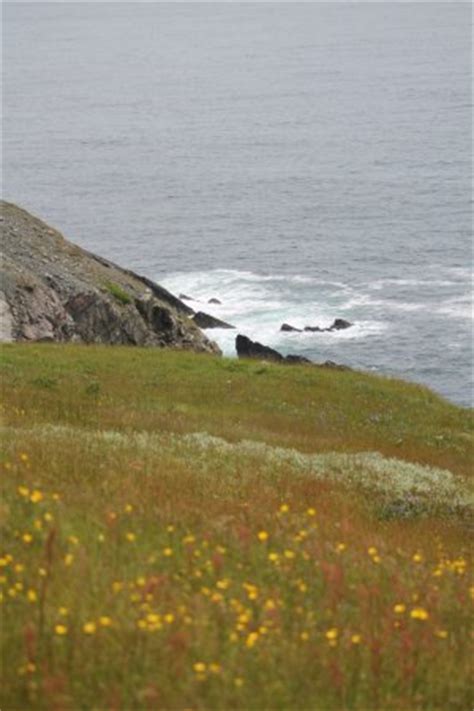 Cape Pine Lighthouse (Trepassey) - All You Need to Know BEFORE You Go ...