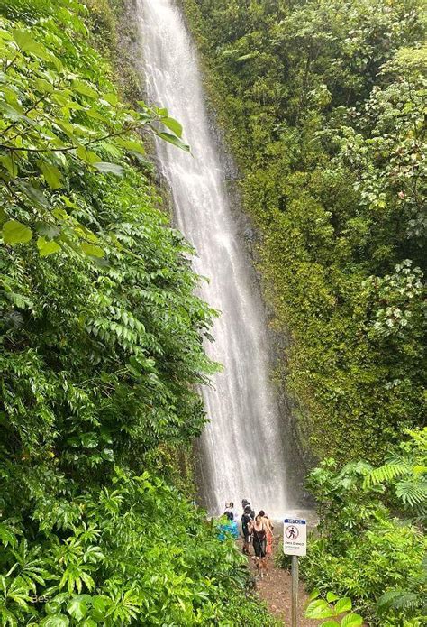 Hiking Manoa Falls