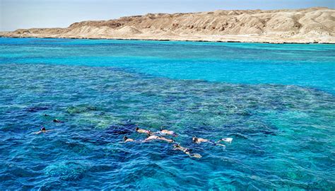 Ras Muhammad National Park: Snorkeling Tour - Khonsu Tours