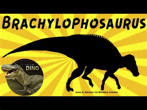 Brachylophosaurus Skeleton