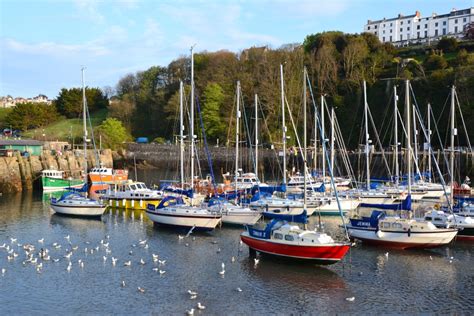 "Ilfracombe harbour" by Martin Humphreys at PicturesofEngland.com