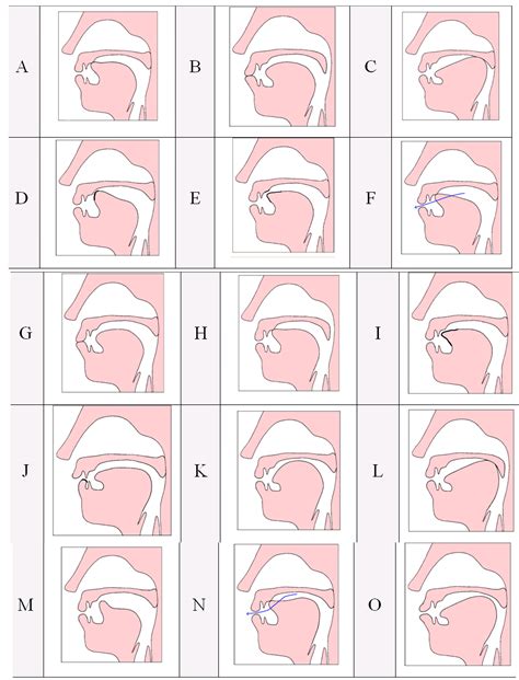 [DIAGRAM] Voiced Consonants Diagram - MYDIAGRAM.ONLINE