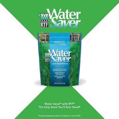 Water Saver 500 Coverage Tall Fescue Grass Seed Gillman , 58% OFF