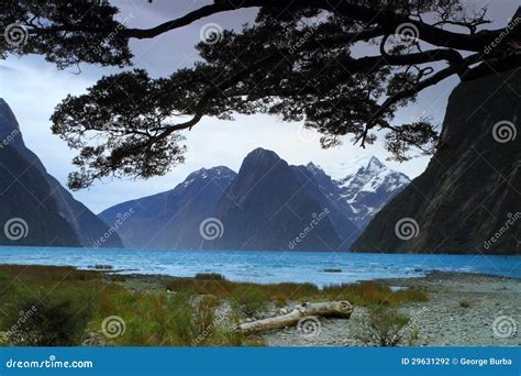 Mitre Peak stock photo. Image of beautiful, maori, geological - 29631292