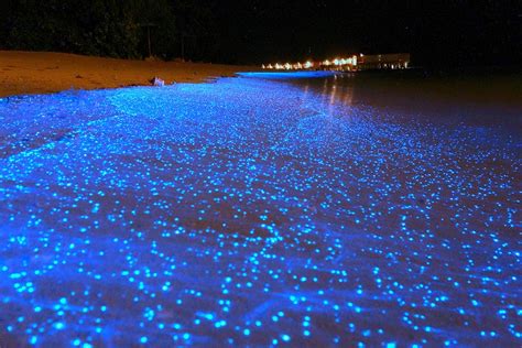 Maldives Beach Looks Like Starry Night Sky | Bored Panda