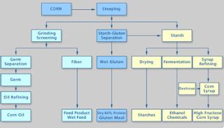 Intl Studies: Alternative Fuels (Ethanol vs. Biodiesel