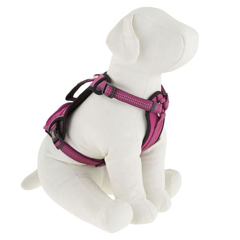 KONG® Reflective Pocket Dog Harness | Dog harness, Pocket dog, Harness