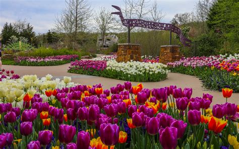 Tulsa Botanic Garden | Tulsa - Osage County, Oklahoma