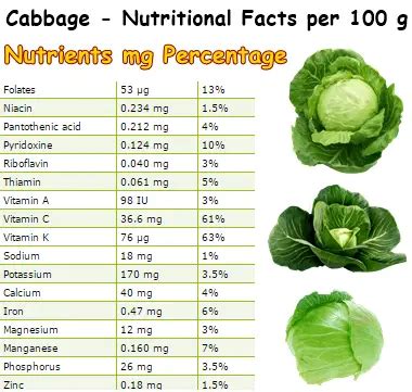 Cabbage Helicobacter pylori – NatureWord