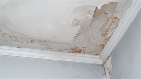 Cost To Repair Water Damaged Plaster Ceiling | Americanwarmoms.org