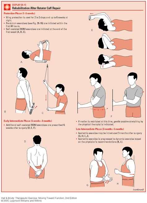 Isometric Shoulder Flexion Exercise