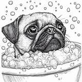 Creative Pug Coloring Page Pages For All Ages – IMAGELLA sketch template