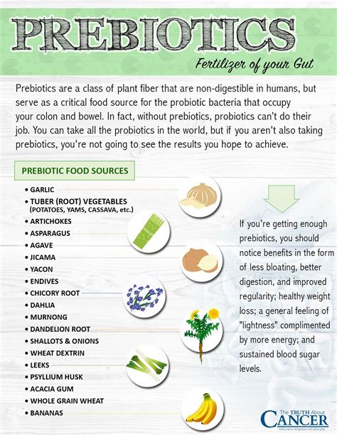 Pin by Taylor B on Health | Prebiotics and probiotics, Probiotics, Gut ...