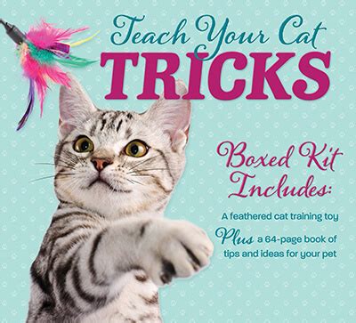 Top 10 Best Cat Training Books in 2022 Reviews – AmaPerfect