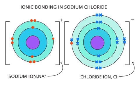 Chemistry: Difference between Atom and Ion in Tabular Form- (For CBSE, ICSE, IAS, NET, NRA 2024 ...