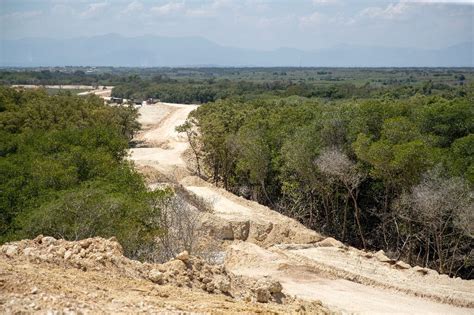 Dominican border wall threatens environment, mangroves