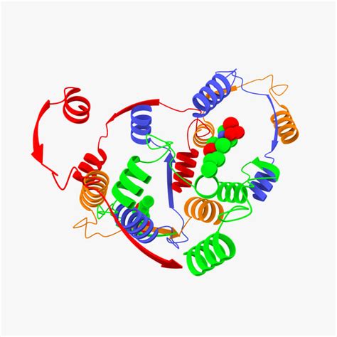 3d animation enzymes model