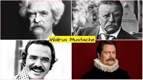 How to Grow & Style A Walrus Mustache: The Ultimate Guide [2024 ]