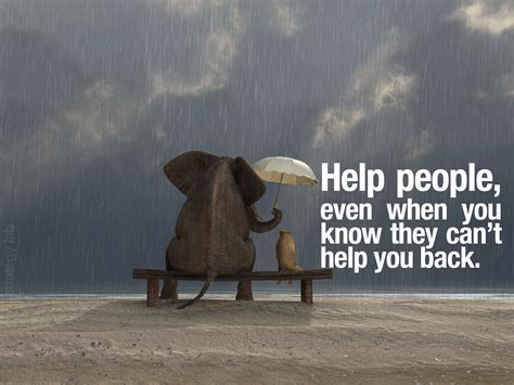 Helping Other People Quotes. QuotesGram