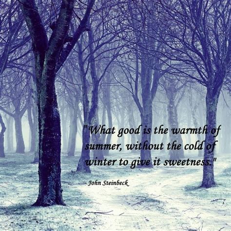 Cold Winter Nights Quotes. QuotesGram