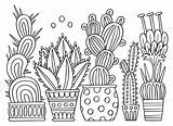 Premium Vector  Coloring Page Indoor Cacti Flowers In Pots Doodle Home sketch template