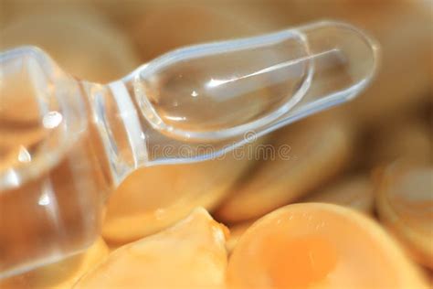 Vial 2 stock photo. Image of nature, transparent, glass - 769734