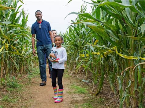 Buford Corn Maze Opening Day 2023 | Buford Corn Maze