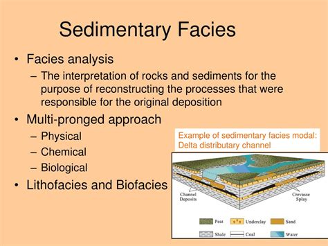 PPT - FACIES MODELS PowerPoint Presentation - ID:501257