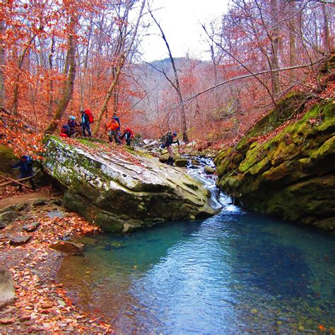 Ozark National Forest, Arkansas - Hiking the Ozarks Photo | Outdoors adventure, Ozark national ...