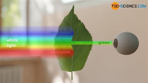 Blackbody radiation | tec-science