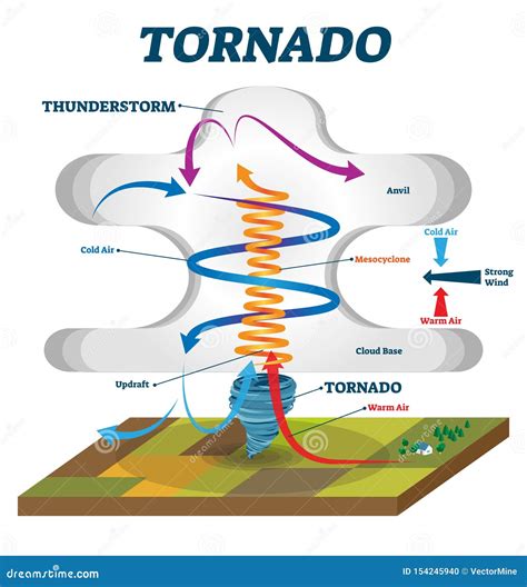 Tornado Vector Illustration. Labeled Educational Wind Vortex Explanation Stock Vector ...