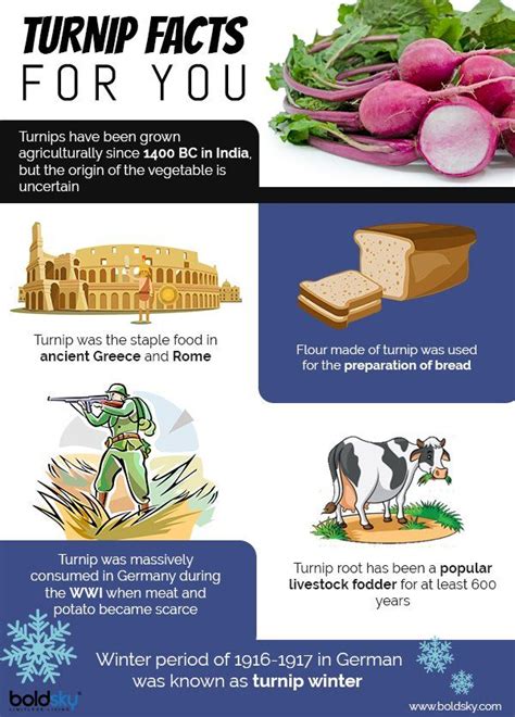 10 Health Benefits Of Turnips, Nutrition, Recipes And Caution | Promote healthy digestion ...