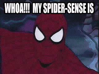 Damn man sense done goofed | Spider-Man | Know Your Meme