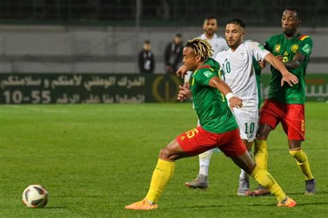 World Cup 2022 Team Preview: Cameroon | BetUS 2022