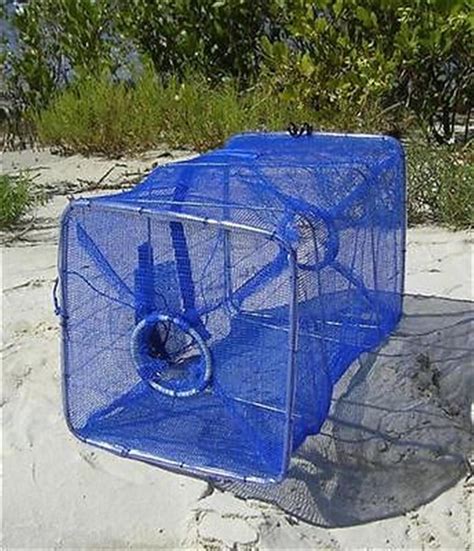 WILSON COLLAPSIBLE BAIT TRAP WITH 3" (75mm) ENTRY RINGS BULK 3 PACK PRAWNS