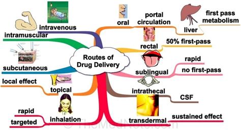 Intramuscular vs Subcutaneous Delivery - UTS Pharmacology