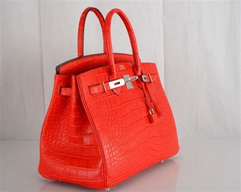 bags that look like hermes birkin