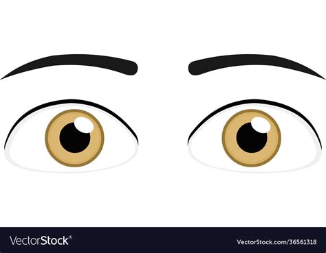 Eyes brown Royalty Free Vector Image - VectorStock